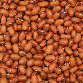 Brown Beans