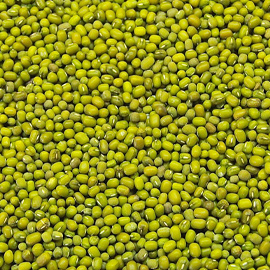 Green Mung Beans (Pedesein)