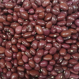 SultaniSultanipya Beans