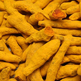 Turmeric Fingers